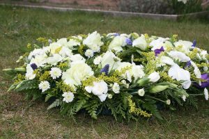 bloemen bij cryomeren